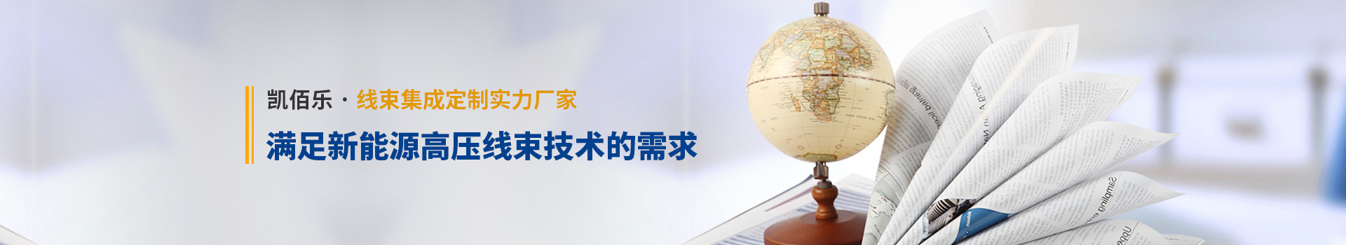 凱佰樂線束集成定制實(shí)力廠家