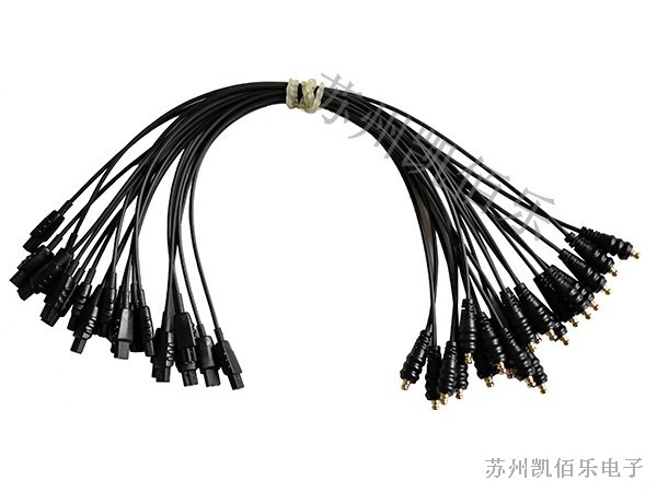 耳蝸線束 耳蝸線束