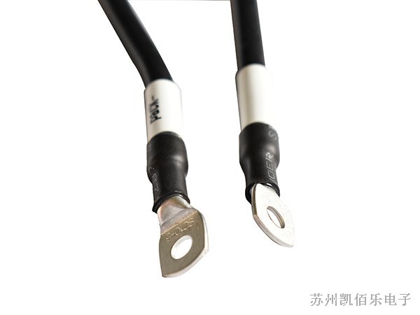 圓盤端子線束 圓盤端子線束